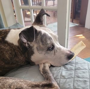 Meet your Posher, Kristen a.